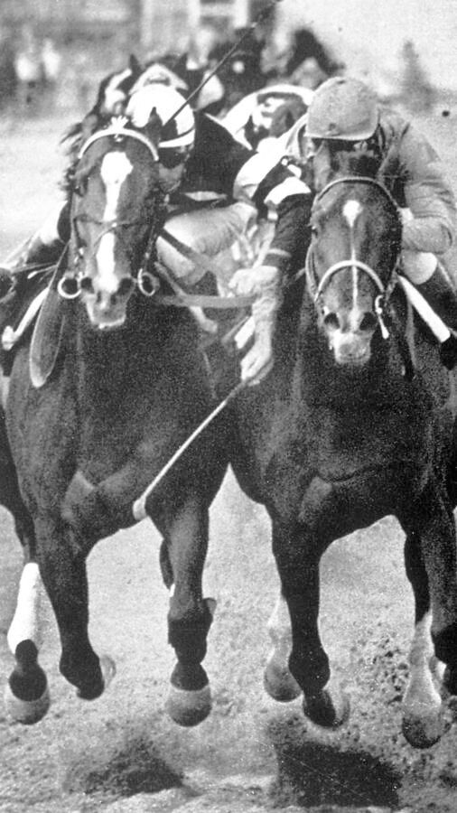 Preakness photos from years past